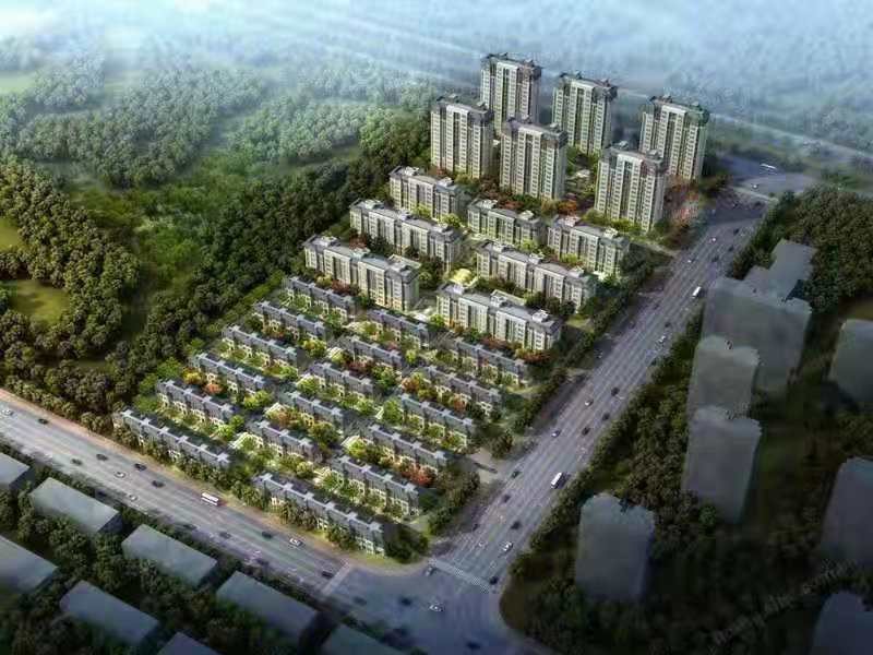 金科碧桂园富力渠阳府